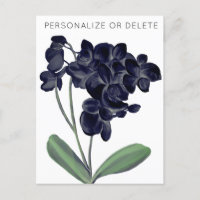 Orchidée blanche et noire aquarelle personnalisée