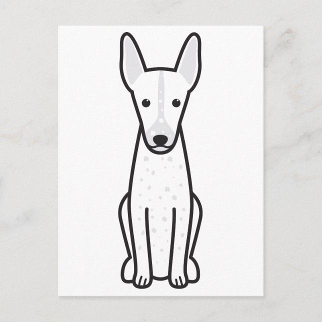 Carte Postale Orchidée inca péruvienne (Devant)