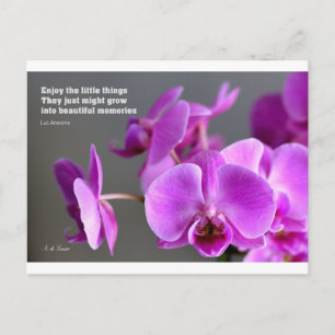 Carte Postale Orchidée mauve lilas violet, citation inspirante