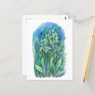 Carte Postale orchidée papillon blanc peinture de printemps fleu