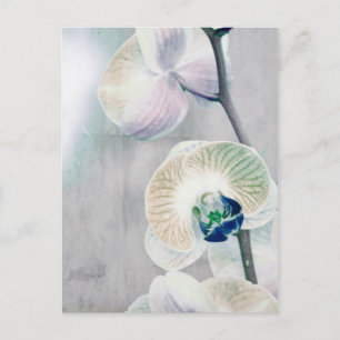 Carte postale orchidée peinte