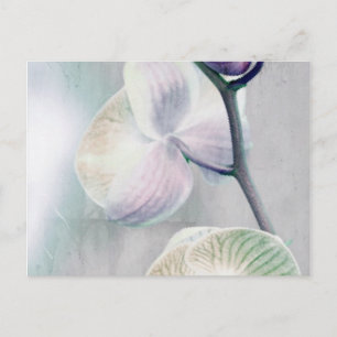 Carte postale orchidée peinte