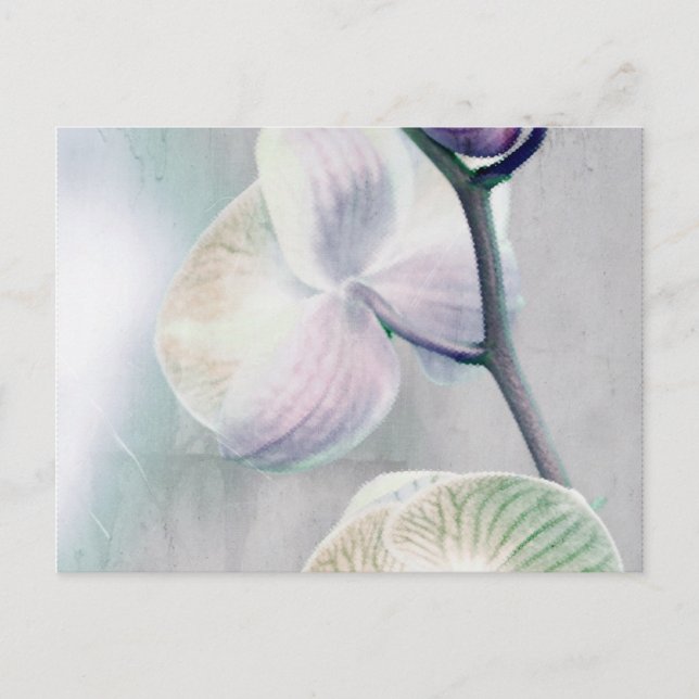 Carte postale orchidée peinte (Devant)