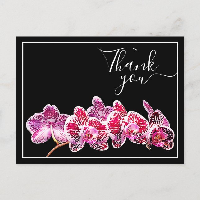 Carte Postale Orchidée rouge sur fond noir Merci (Devant)
