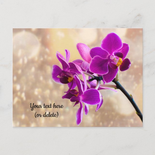 Carte postale Orchidée violette (Devant)