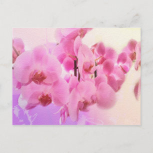Carte Postale orchidées.