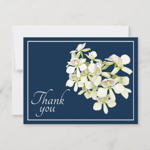 Carte Postale Orchidées à nervures blanches Fond marine Merci