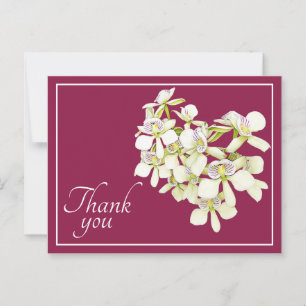 Carte Postale Orchidées à nervures blanches sur fond cramoisi Me
