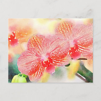 Carte Postale Orchidées aquarelles