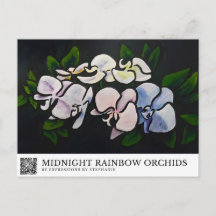 Orchidées Arc-en-ciel de minuit
