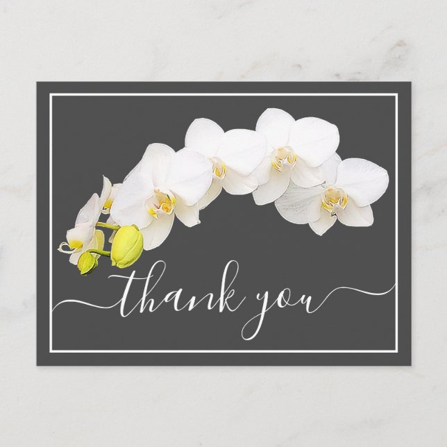 Carte Postale Orchidées blanches contre Merci Arrière - plan gri (Devant)