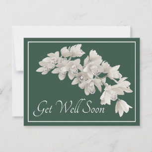 Carte Postale Orchidées blanches Fond vert Bon rétablissement