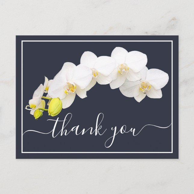 Carte Postale Orchidées blanches sur fond marine Merci (Devant)