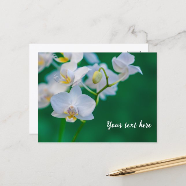 Carte Postale Orchidées blanches sur fond vert (Devant/Arrière en situation)