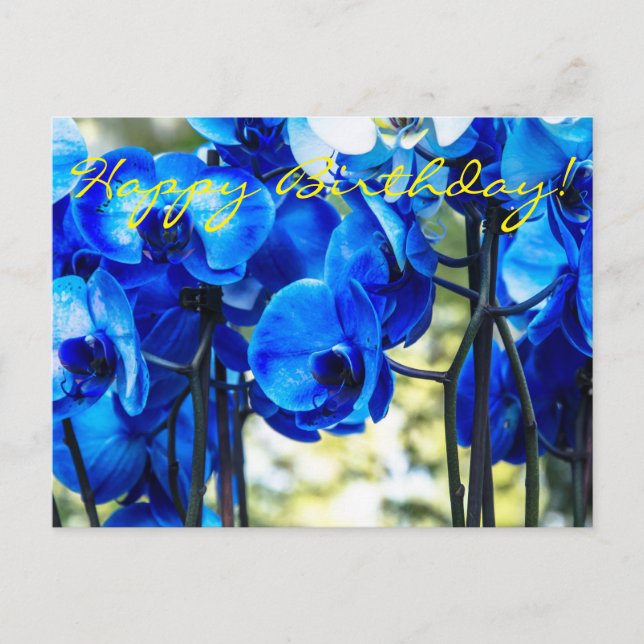 Carte Postale Orchidées bleues (Devant)