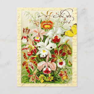 Carte Postale Orchidées colorées et papillon jaune
