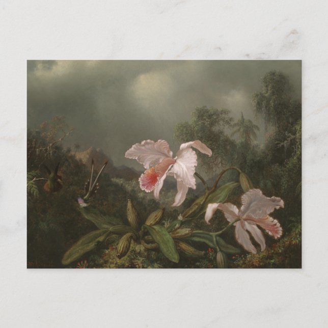 Carte Postale Orchidées de la jungle et colibris (Devant)