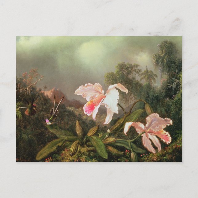Carte Postale Orchidées de la jungle et colibris, 1872 (Devant)