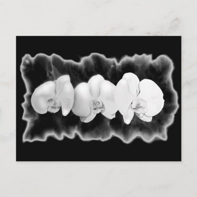 Carte Postale Orchidées de peinture florale noir blanc (Devant)