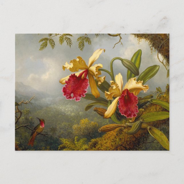 Carte Postale Orchidées et colibri Heade (Devant)