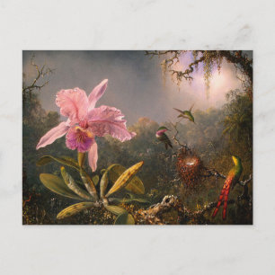 Carte postale : Orchidées et colibris