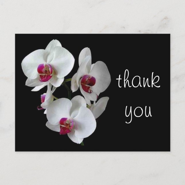 Carte Postale orchidées : merci ! (Devant)
