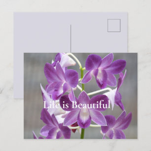 Carte Postale Orchidées violettes Kauai Hawaii