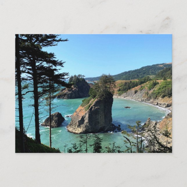 Carte Postale Oregon Coast Boardman Pittoresque Vue (Devant)