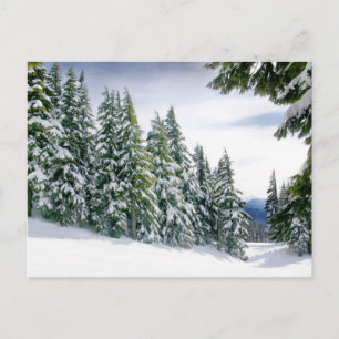 Carte Postale Oregon Winter
