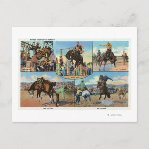 Carte Postale OregonVue panoramique de Rodeo Bronco Busters