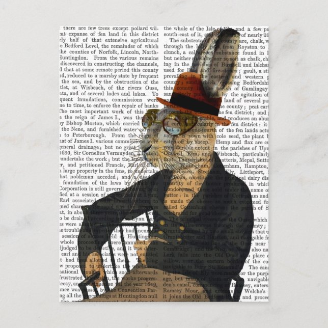 Carte Postale Oreille Horatio Sur Chaise (Devant)