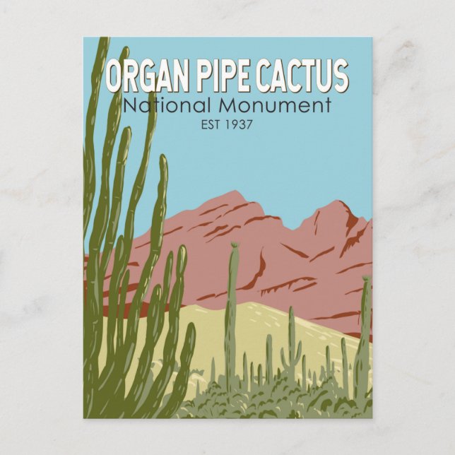 Carte Postale Organ Pipe Cactus National Monument Arizona Retro (Devant)