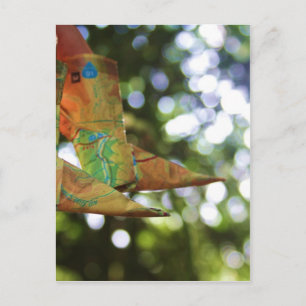 Carte Postale Origami