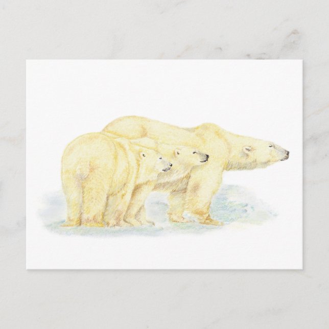 Carte Postale Originale Aquarelle Ours Polaire Famille Animal (Devant)