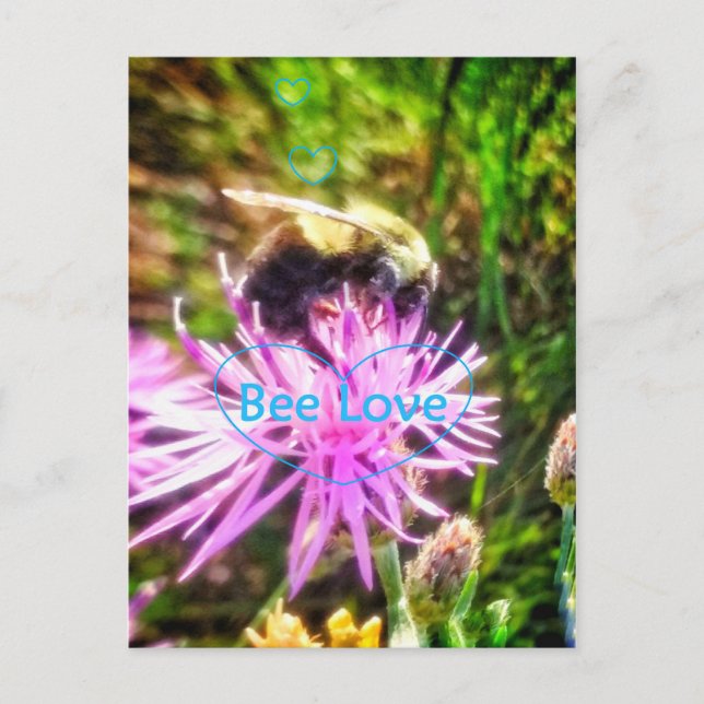 CARTE POSTALE ORIGINALE BEE LOVE (Devant)