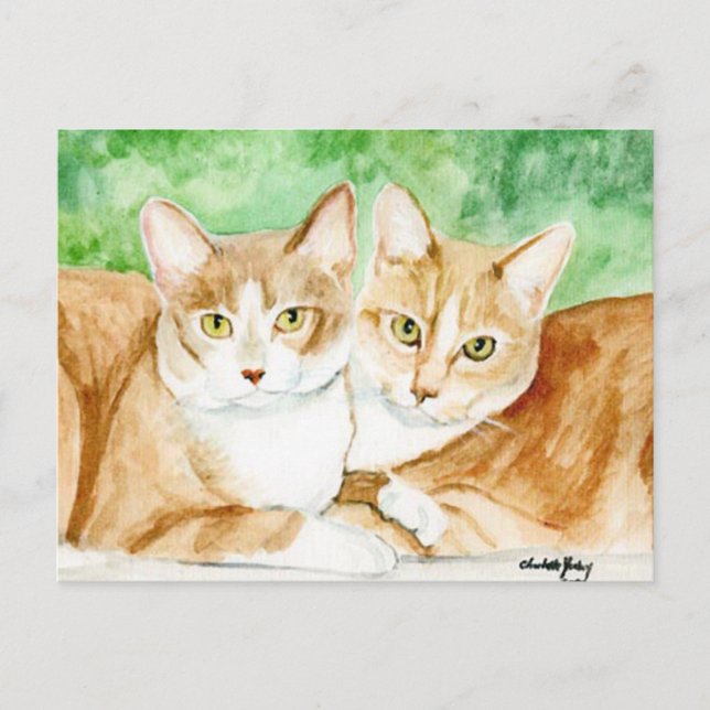 Carte postale originale de Yellow Cat Sisters (Devant)