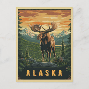 Carte Postale Orignal d'Alaska - Vieille Sauvagerie
