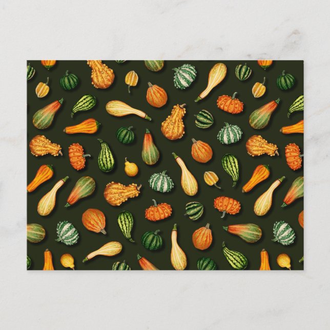Carte Postale Ornamental Gourds for Autumn, affaire Thanksgiving (Devant)