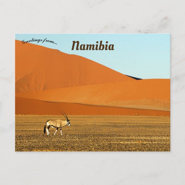 Carte Postale Oryx Gazella Namib Parc national Naukluft Namibie (Devant)