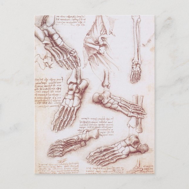 Carte Postale Os de pied de l'anatomie humaine par Leonardo da V (Devant)