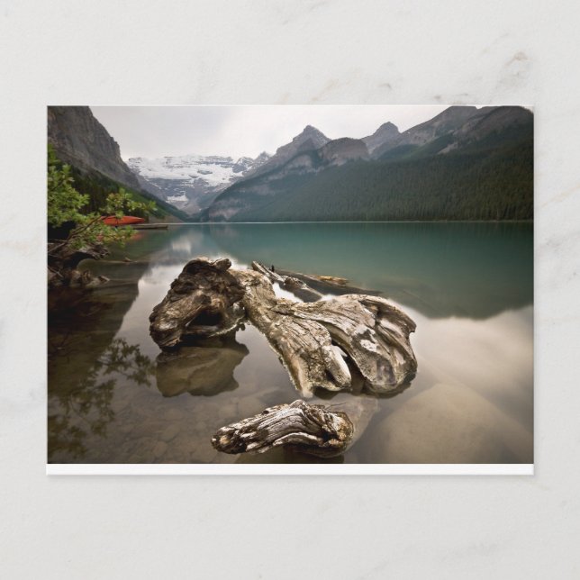 Carte Postale Os dragon (Devant)