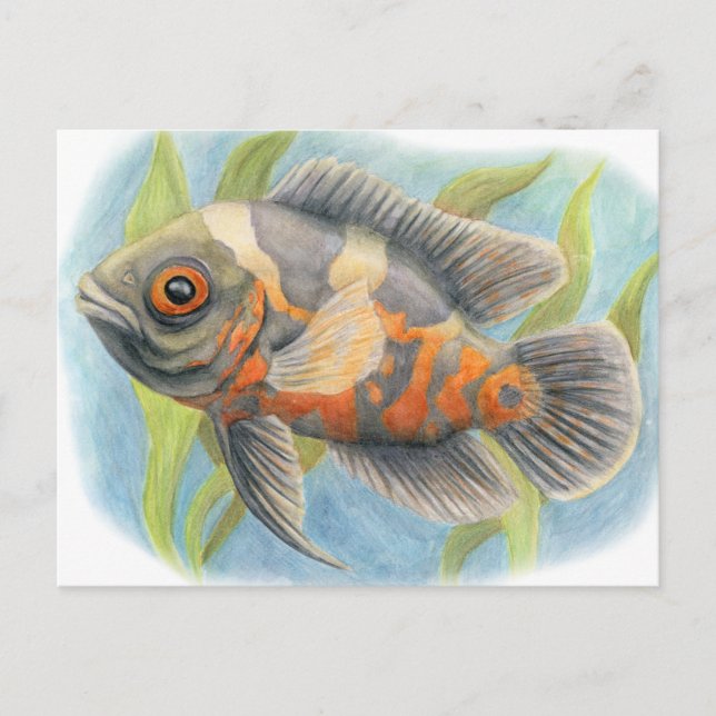 Carte Postale Oscar de tigre de bébé (Devant)