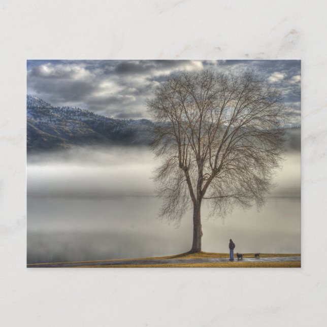 Carte Postale Osoyoos marchant le chien (Devant)