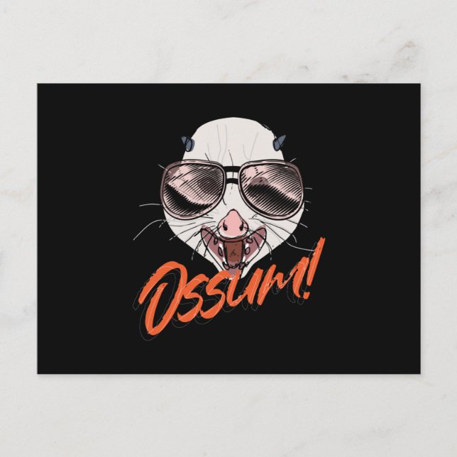 Carte Postale Ossum Possum Opossum Gopher (Devant)