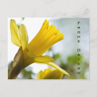 Carte Postale Osterglocke ・ Oster-Postkarte