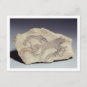 Carte Postale Ostracon depicting a dog chasing a hyena (limeston