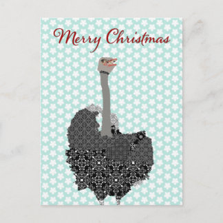 Carte postale Ostrich Blue Star Noël