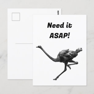 Carte Postale Ostrich Running Cool Athlète Art animal