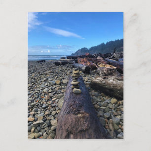 Carte Postale Oswald West State Park, Oregon