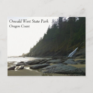 Carte Postale Oswald West State Park, Oregon Coast